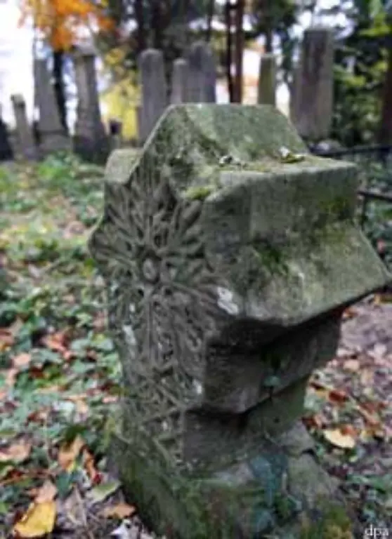 Auch-aus-diesem-Grund-hat-sich-in-Deutschland-der-Friedhofszwang-herausgebildet-der-vorschreibt-dass-Menschen-und-deren-Asche-nur-auf-Friedhoefen-beigesetzt-werden-duerfen