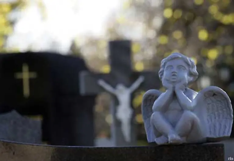 133-der-Wiener-Zentralfriedhof-133