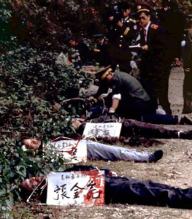 Dabei-ist-davon-auszugehen-dass-die-tatsaechlichen-Zahlen-wesentlich-hoeher-sind-Allein-in-China-gehen-Menschenrechtler-von-7-000-bis-8-000-Exekutionen-aus