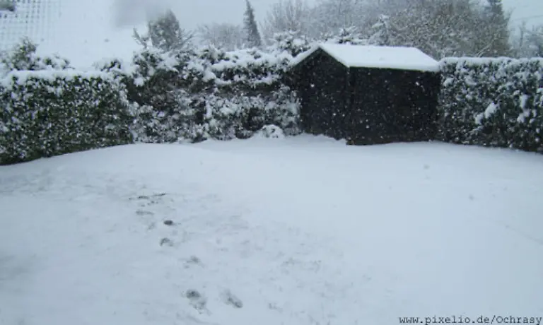 Auf-vielen-Fotos-wirkt-die-winterliche-Pracht-oft-fahl-blaustichig-und-furchtbar-langweilig