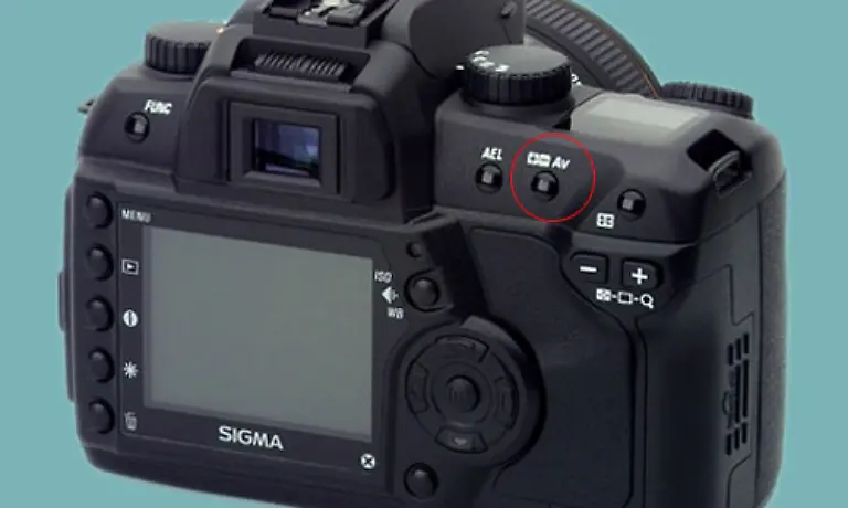 Deshalb-sollten-Sie-vorm-Fotografieren-der-weissen-Pracht-unbedingt-den-Belichtungsmesser-an-die-hellere-Umgebung-anpassen-sonst-werden-die-Bilder-zu-dunkel