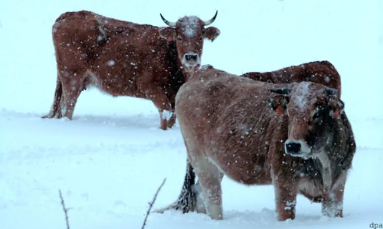 Kameras-neigen-dazu-einen-falschen-Weisswert-zu-messen-wodurch-die-Bilder-oft-einen-Blaustich-bekommen-In-anderen-Lichtsituationen-ist-auch-oft-zu-viel-Gelb-oder-Magenta-im-Foto