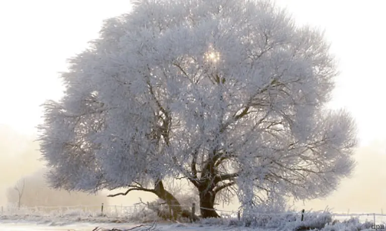 kommen-die-Pixel-auf-dem-Sensor-zur-Ruhe-das-so-genannte-Farbrauschen-verringert-sich-und-die-Bilder-werden-richtig-knackig