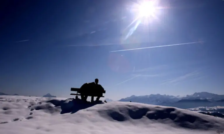 Sehr-reizvoll-koennen-im-Winter-Gegenlichtaufnahmen-sein-Dabei-muessen-Sie-aber-mit-einer-Digitalkamera-sehr-vorsichtig-sein-Wenn-das-Sonnenlicht-direkt-ins-Objektiv-strahlt-halten-Sie-nur-noch-Schrott-in-den-Haenden