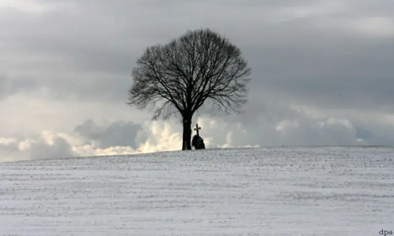 Stellen-Sie-einen-Baum-auf-den-Huegel-und-schon-haben-Sie-ein-wunderschoenes-Foto