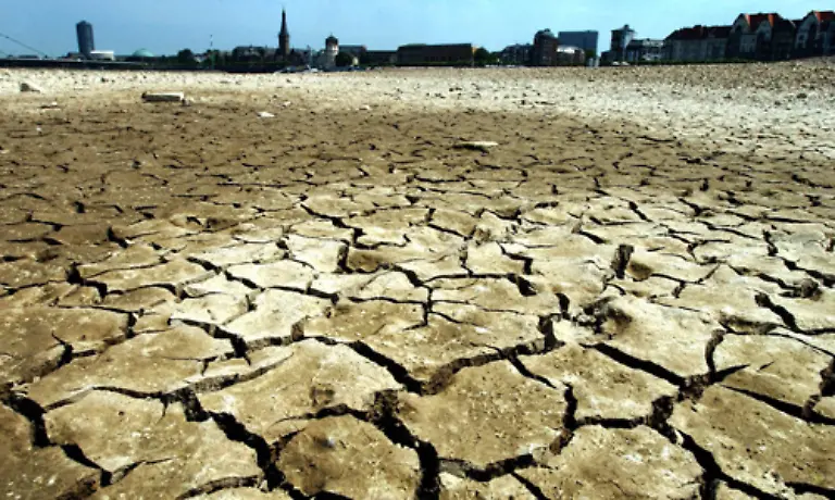 Allerdings-wiegen-diese-Aussichten-nicht-die-Gefahren-fuer-den-allgemeinen-Wohlstand-und-die-Gesundheit-jedes-Einzelnen-auf-die-durch-den-Klimawandel-entstehen-Auch-in-Deutschland-sind-die-Folgen-schon-zu-beobachten