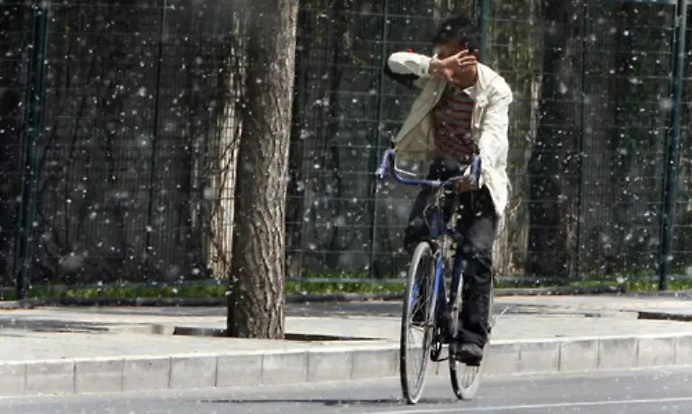Allergiker-gehen-schweren-Zeiten-entgegen-Es-fliegen-nicht-nur-deutlich-mehr-Pollen-in-der-Luft