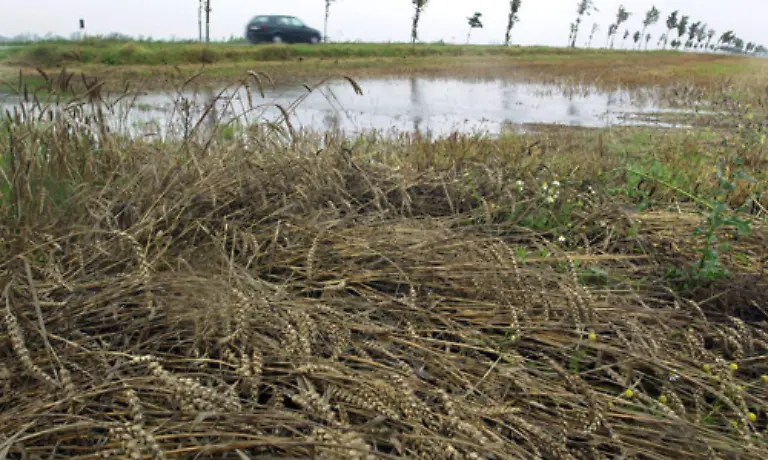 Auch-wenn-die-Veraenderungen-des-Wasserhaushalts-und-der-Wasserverfuegbarkeit-in-Deutschland-nicht-das-groesste-Problem-darstellen-werden-die-Landwirte-muessen-sich-an-haeufiger-auftretende-Wetterextreme-gewoehnen-Starkregen
