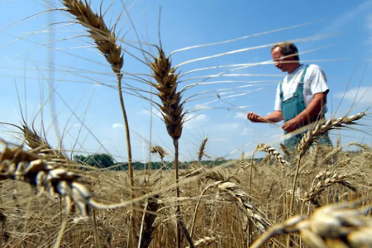 und-Duerreperioden-bedrohen-die-Ernteertraege