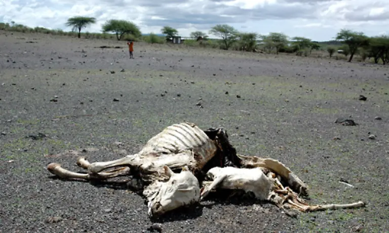 Afrika-wo-die-Menschen-bereits-jetzt-stark-unter-Wetterextremen-leiden
