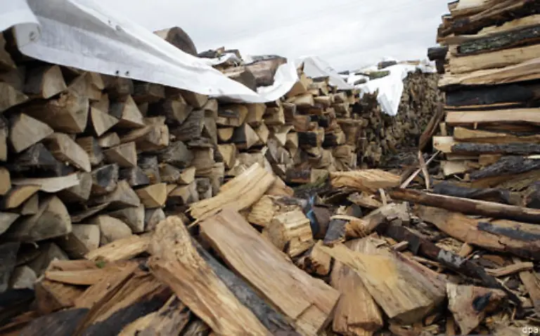 Je-nach-Fuelle-des-Erdtrabanten-schlagen-die-von-seiner-besonderen-Kraft-Ueberzeugten-Holz