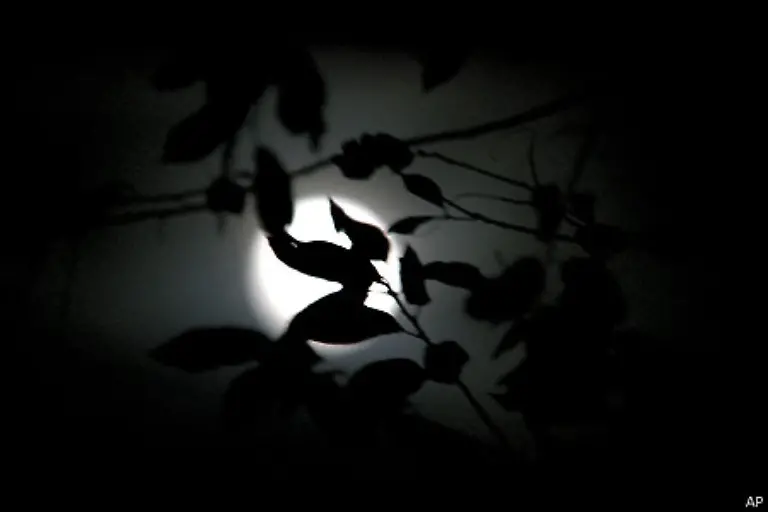 Die-baeuerliche-Bevoelkerung-ging-einst-davon-aus-dass-Pflanzen-besser-wuchsen-wenn-sie-in-bestimmten-Mondphasen-ausgesaet-oder-gepflanzt-wurden