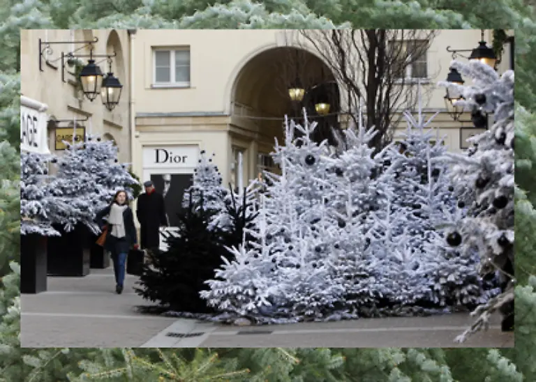Der-Deutschen-liebster-Baum-ist-zwar-nicht-von-Dior