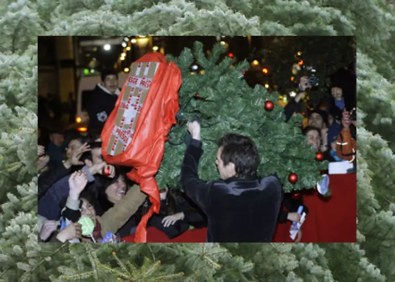 Wer-will-auch-schon-irgendeinen-hinterhergeschmissenen-Baum-in-der-Stube-haben
