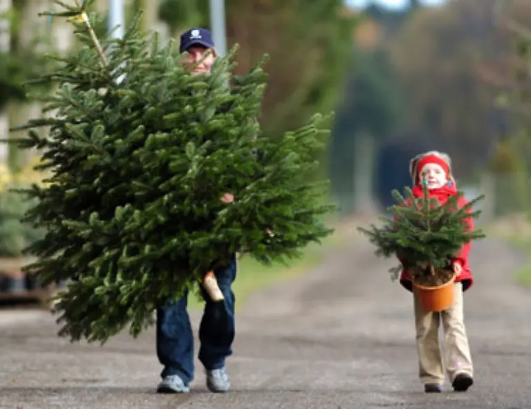 Weihnachten-ist-und-bleibt-das-Fest-der-Familie-das-sehen-89-3-Prozent-der-Deutschen-nach-einer-GfK-Umfrage-so