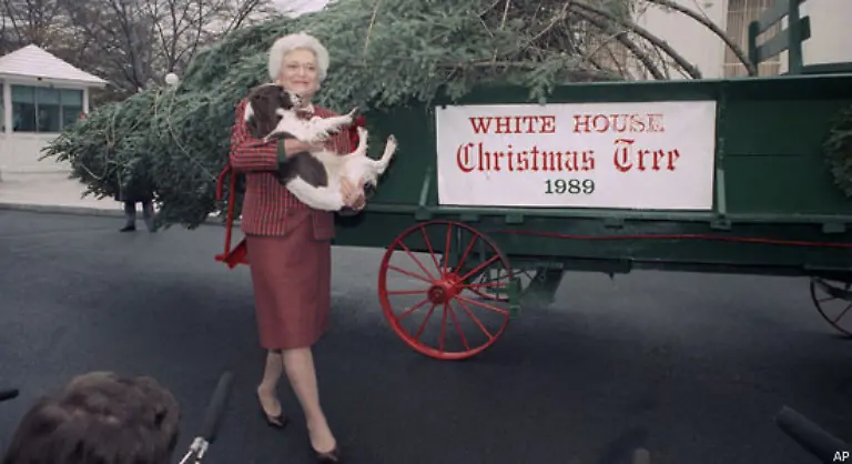 1989-eine-spektakulaere-Neuerung-Barbara-Bush-nimmt-ihren-Hund-Millie-mit-zum-Baum