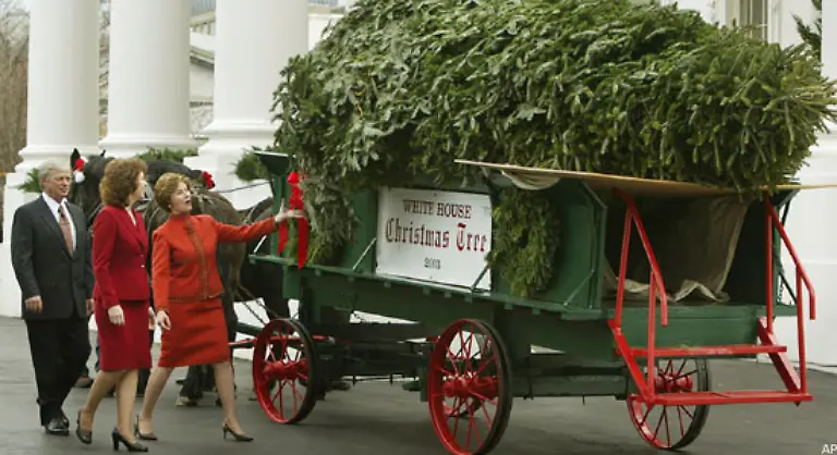 Im-Vergleich-zu-Hillary-Clinton-ist-Laura-Bush-sicherlich-die-glaubwuerdigere-Hausfrau
