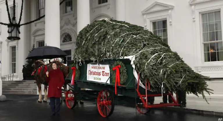 Und-schliesslich-2008-Zum-letzten-Mal-nimmt-Laura-Bush-den-Weihnachtsbaum-des-Weissen-Hauses-in-Empfang