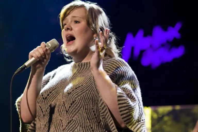 sie-verlassen-sich-lieber-auf-ihre-Stimme-Namen-wie-Duffy-Katy-Perry-Adele-im-Bild-und-Amy-Macdonald-stehen-fuer-reduzierten-feingliedrigen-Pop-mit-Anleihen-in-Folk-und-Soul