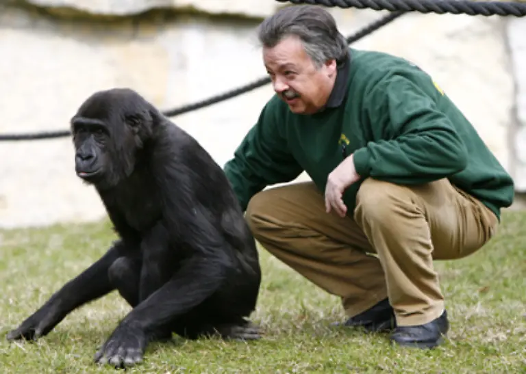 Der-Mensch-stammt-vom-Affen-ab