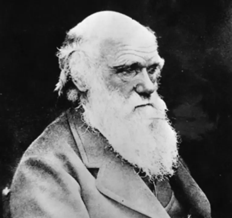 des-britischen-Naturforschers-Charles-Robert-Darwin-1809-1882
