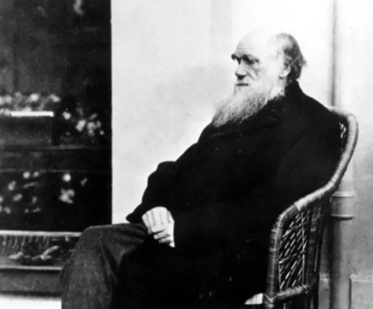 Darwin-selbst-hatte-nie-behauptet-dass-der-Mensch-direkt-vom-Affen-abstammt-Er-hat-vielmehr-bewiesen-dass-die-Verwandtschaft-zwischen-Menschen-und-Affen-in-gemeinsamen-Vorfahren-zu-suchen-ist