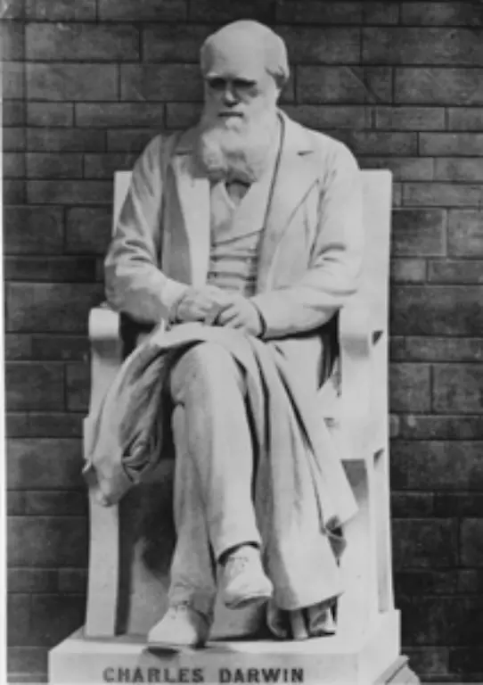 Dieser-Ansatz-ist-bis-heute-Grundlage-der-modernen-Evolutionstheorie-und-machte-Darwin-zu-einem-der-bedeutendsten-Naturwissenschaftler-aller-Zeiten