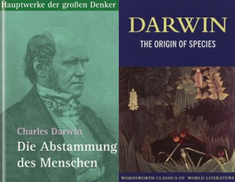 Trotzdem-zoegerte-Darwin-bis-1859-damit-das-geheime-Manuskript-seiner-Theorie-zu-veroeffentlichen-Er-fuerchtete-sich-mit-der-Kirche-anzulegen