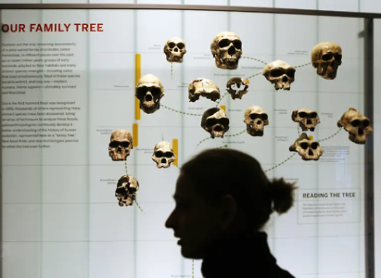 und-koennen-unter-anderem-durch-die-moderne-Evolutionsgenetik-weitgehend-bestaetigt-werden