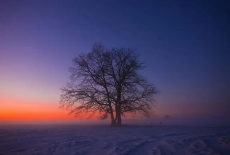 Der-waermste-Ort-Deutschlands-ist-derzeit-Dunum-mit-2-2-Grad-Celsius-Messung-vom-05-01-2009-in-Ostfriesland