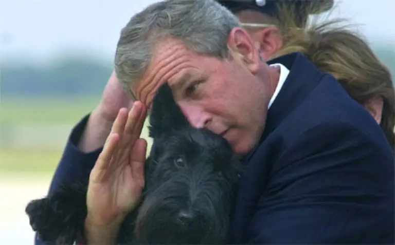 Doch-Bush-war-alles-andere-als-ein-Trottel-um-es-mit-einem-Bushismus-zu-sagen-Er-wurde-missunterschaetzt