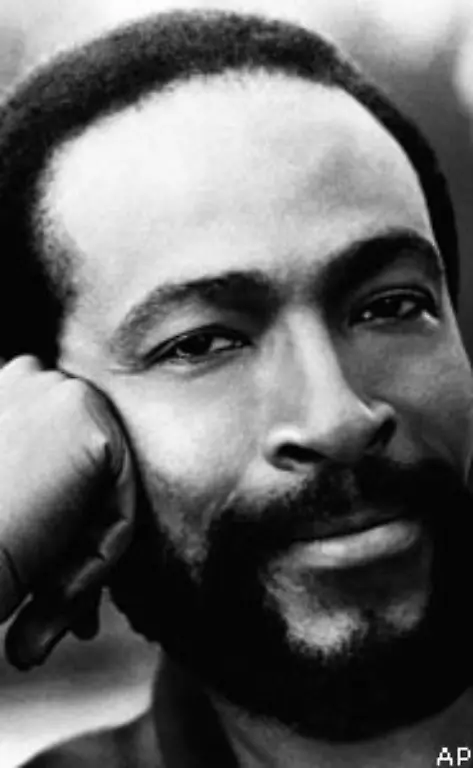 Doch-der-Erfolg-kommt-nicht-von-ungefaehr-Hinter-Motown-steckt-ein-gewaltiger-Apparat-an-professionellen-Musikern-und-Produzenten-der-die-jungen-Kuenstler-wie-Marvin-Gaye-aufbaut-und-ihnen-das-typische-Motown-Image-verpasst