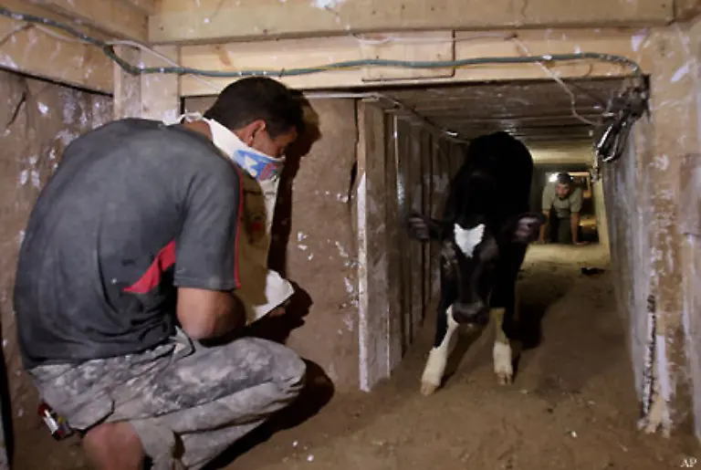 Manchmal-liegen-die-Gaenge-nur-wenige-Meter-unter-der-Erde-Einige-sollen-jedoch-in-30-Meter-Tiefe-mehr-als-einen-Kilometer-lang-ins-benachbarte-Aegypten-verlaufen