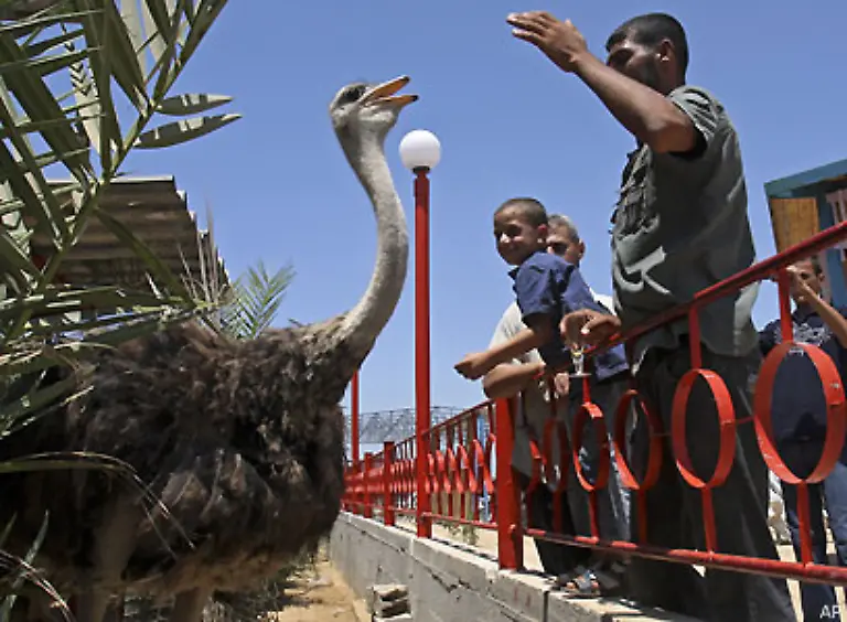 175-000-Dollar-sollen-acht-Investoren-dafuer-eingesetzt-haben-Schulklassen-und-Grossfamilien-kommen-um-Papageien-Luchse-und-Loewen-zu-sehen