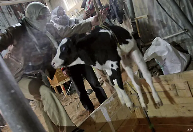 Die-neureichen-Schmuggler-bauten-Haeuser-und-fahren-grosse-Autos-oder-glaenzende-Motorraeder-Die-Gewinnmargen-waren-gewaltig