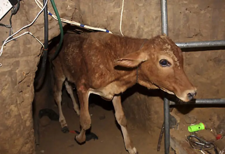 Allerdings-koennten-die-Palaestinenser-nach-israelischer-Einschaetzung-binnen-drei-bis-sechs-Monaten-die-Schmugglerwege-wieder-aufbauen-sollte-an-der-aegyptischen-Grenze-nicht-entschlossener-vorgegangenen-werden