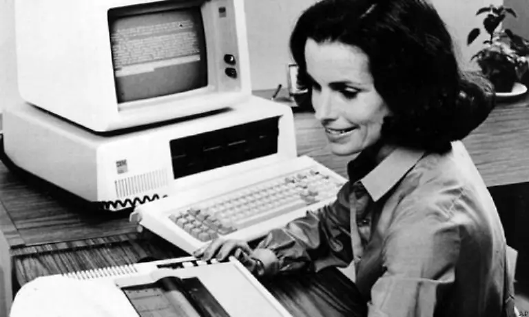 Der-wesentlich-guenstigere-Computer-und-Nachahmerprodukte-eroberten-die-Bueros-und-Schreibzimmer-in-kuerzester-Zeit