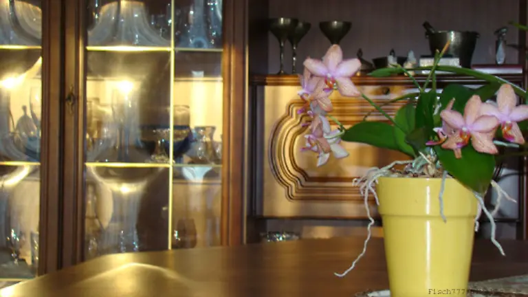 Vorbei-die-Zeiten-als-die-Schrankwand-in-Eiche-rustikal-Standards-in-deutschen-Wohnzimmern-setzte