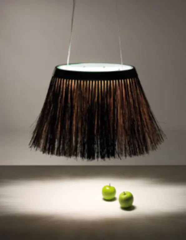 Will-diese-Lampe-auch-gekaemmt-werden-Piassava-von-innoyok-oy