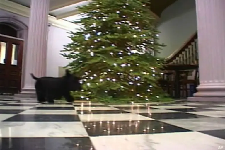 Zu-den-132-Raeumen-in-sechs-Etagen-gehoeren-auch-35-Badezimmer-Es-gibt-acht-Treppenhaeuser-und-drei-Fahrstuehle