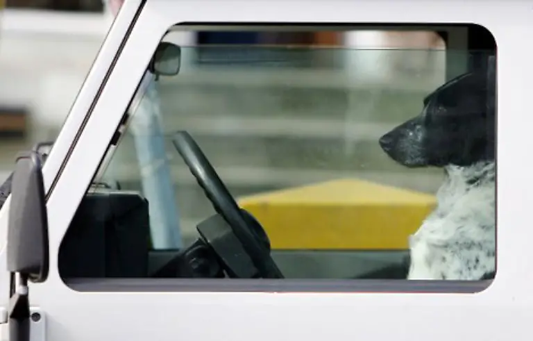 Na-dann-gute-Fahrt-Bilder-AP-dpa-pixelio