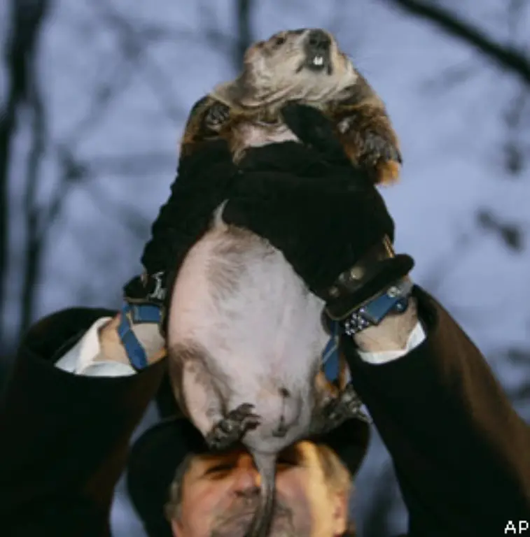 Dumme-Frage-findet-der-Groundhog-Club-Phil-habe-natuerlich-immer-Recht-sagt-man-hier-Kein-Wunder-denn-seine-Voraussage-ist-nicht-ortsgebunden-Irgendwo-dauert-der-Winter-ganz-bestimmt-noch-sechs-Wochen