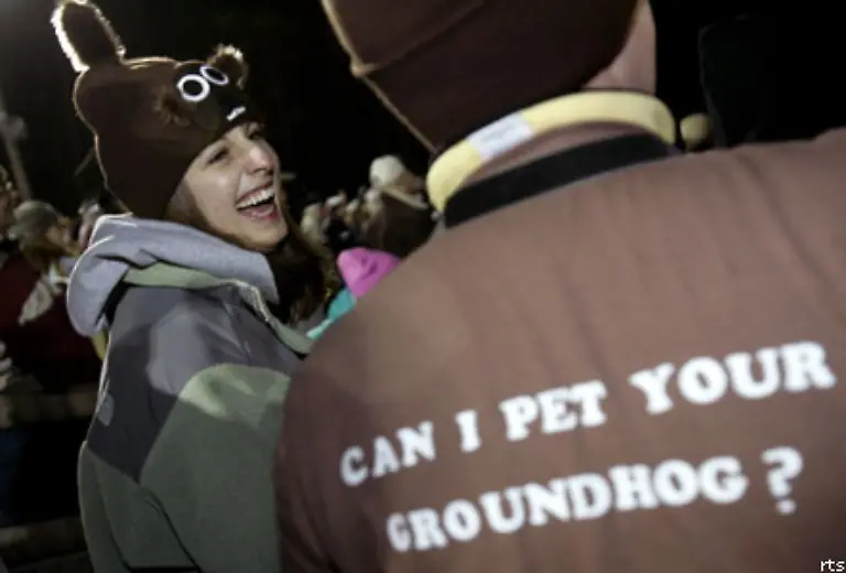 Phil-schluerft-das-jeden-Sommer-und-gewinnt-damit-jedes-Mal-sieben-weitere-Lebensjahre-wie-der-Groundhog-Club-auf-seiner-offiziellen-Webseite-verraet