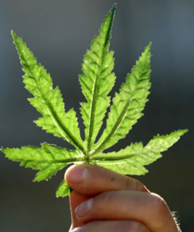 Die-britische-Zeitung-News-of-the-World-hat-ein-Foto-veroeffentlicht-das-den-Schwimmer-beim-Rauchen-zeigt-Aus-einer-Wasserpfeife-Wahrscheinlich-Cannabis