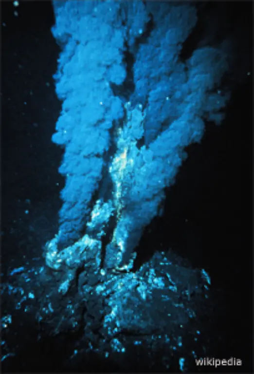 Selbst-rund-um-die-in-2000-Metern-Tiefe-entdeckten-Schwarzen-Raucher-Quellen-aus-denen-bis-zu-400-Grad-Celsius-heisses-Wasser-voller-Schwermetalle-und-Schwefelverbindungen-brodelt-133