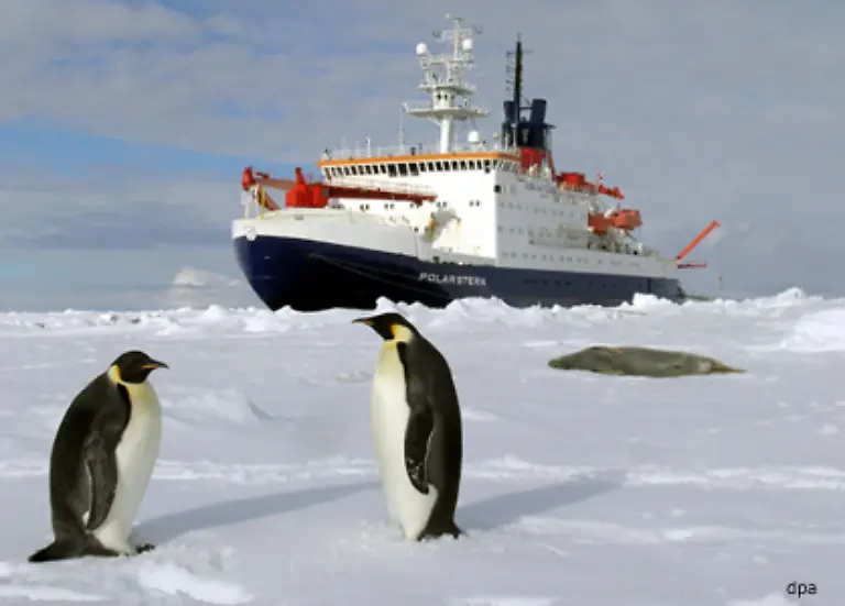 An-der-Bestandsaufnahme-sind-auch-deutsche-Wissenschaftler-beteiligt-Die-Polarstern-brach-bereits-zu-drei-Expeditionen-auf-um-die-antarktische-Tiefsee-zu-erforschen