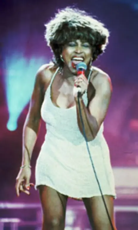 Tina-Turner-hat-den-Mini-zu-ihrem-Markenzeichen-gemacht