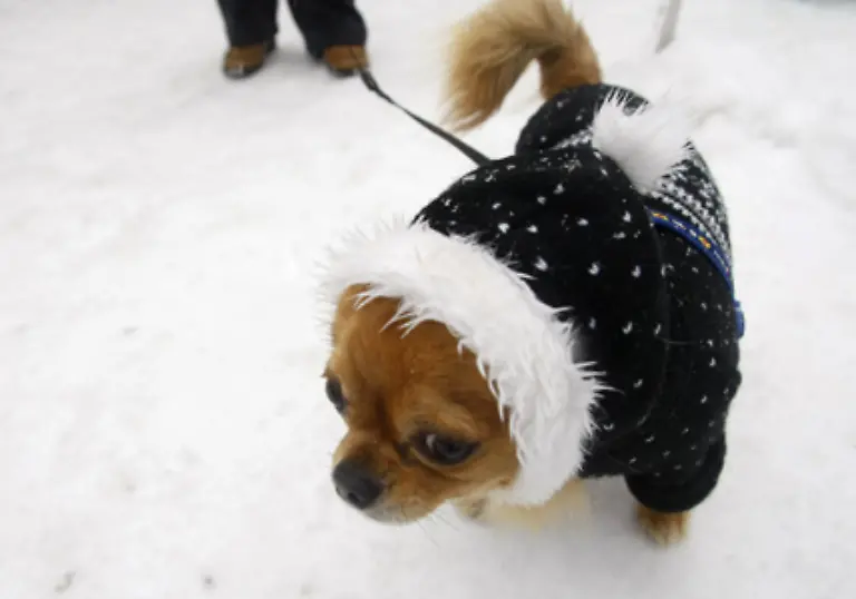 Auch-in-der-High-Tech-Branche-ist-Krisenstimmung-angesagt