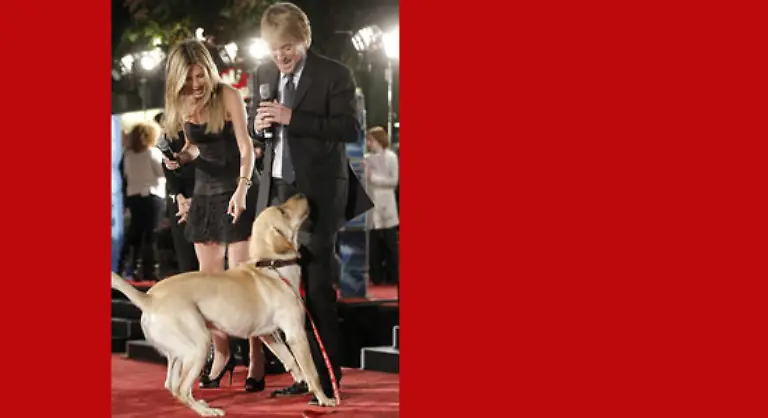 Der-Hunde-Film-kommt-bei-uns-leider-erst-im-Maerz-in-die-Kinos