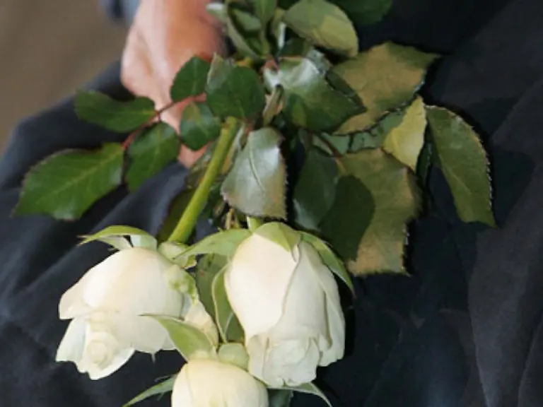 Einzelne-weisse-Rosen-gehen-gar-nicht-so-der-Benimmexperte